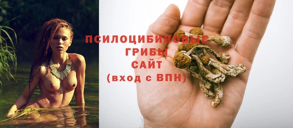 a pvp Беломорск