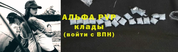 крисы Белокуриха