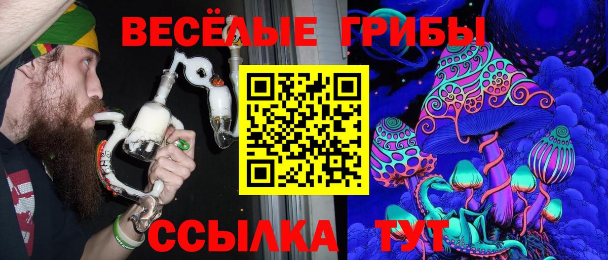 Псилоцибиновые грибы мицелий  Вход с VPN  Губкинский 