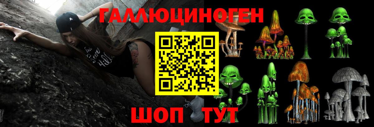 Галлюциногенные грибы Psilocybine cubensis Губкинский